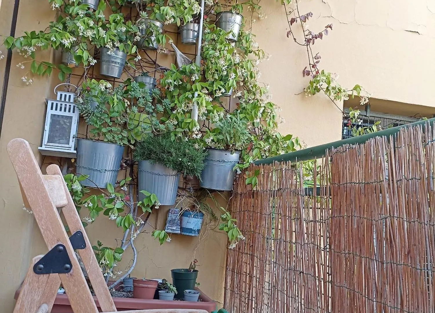 Botanical Bed & Breakfast Bologna